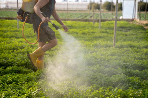 Pest Control Cost in Plymouth, NC