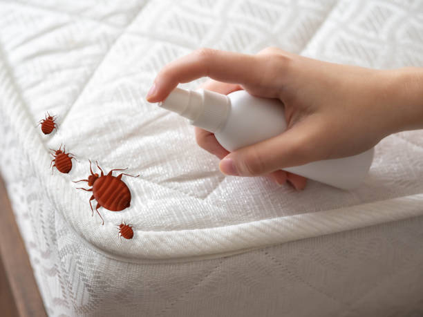 Best Pest Removal Services  in Plymouth, NC
