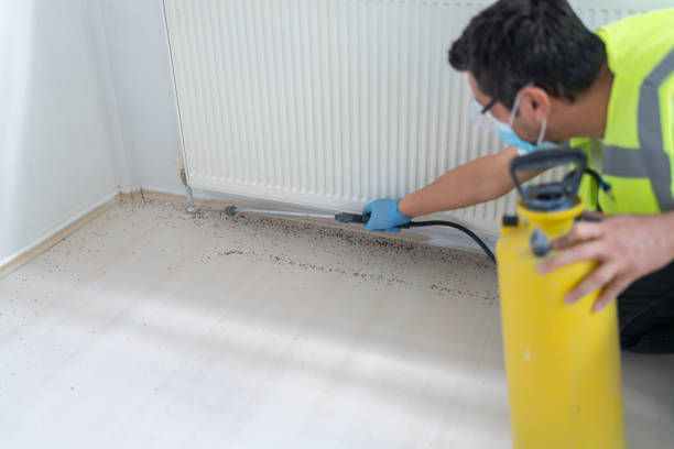 Best Pest Inspection Near Me  in Plymouth, NC